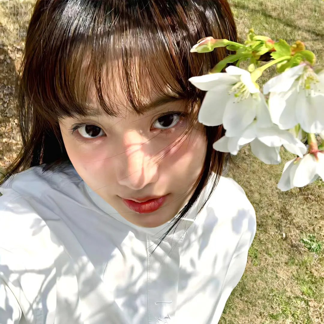 来去美国2